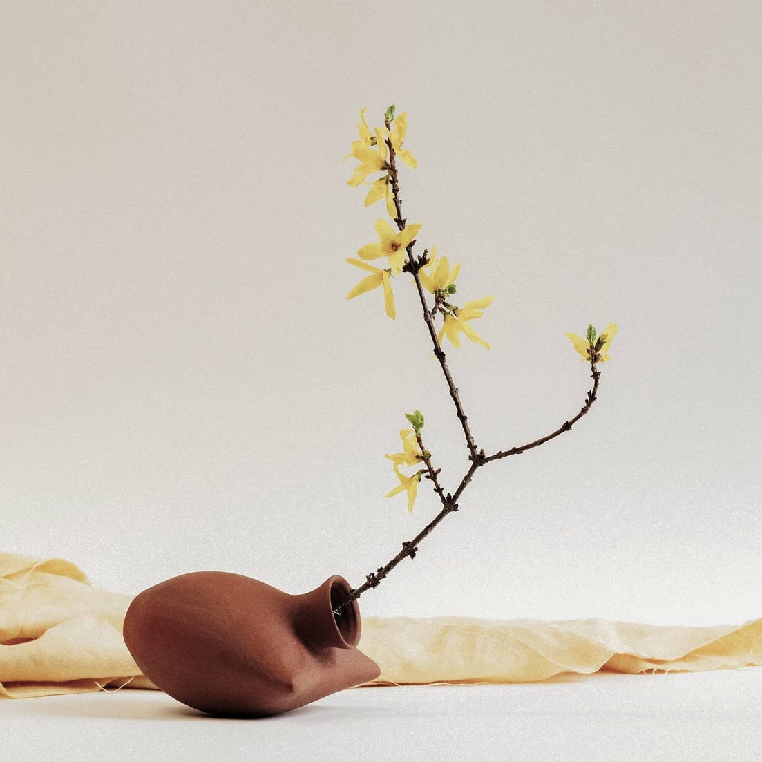 17 Emerging Pottery Artists & How They Create Masterpieces